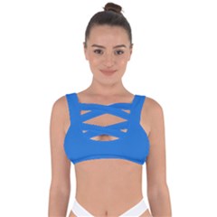 Bright Navy Blue	 - 	bandaged Up Bikini Top by ColorfulSwimWear