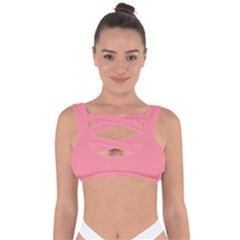 Conch Shell Pink	 - 	bandaged Up Bikini Top by ColorfulSwimWear