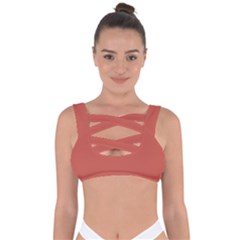 Cedar Chest Red	 - 	bandaged Up Bikini Top by ColorfulSwimWear