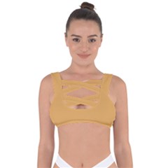 Sunray Orange	 - 	bandaged Up Bikini Top by ColorfulSwimWear