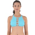 Arctic Blue	 - 	Perfectly Cut Out Bikini Top View1