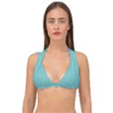 Northern Lights Blue	 - 	Double Strap Halter Bikini Top View1