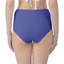 Blue Iris	 - 	Classic High-Waist Bikini Bottoms View2