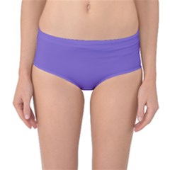 Purple Sage Bush	 - 	mid-waist Bikini Bottoms by ColorfulSwimWear