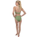 Iguana Green	 - 	Plunging Cut Out Swimsuit View2