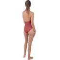 Cedar Chest Red	 - 	Plunge Cut Halter Swimsuit View2