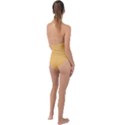 Sunset Gold	 - 	Plunge Cut Halter Swimsuit View2