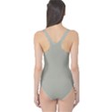 Silver Cloud Grey	 - 	One Piece Swimsuit View2