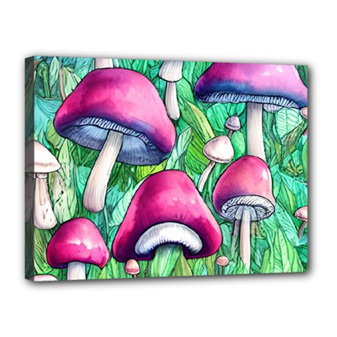 Charmed Toadstool Canvas 16  X 12  (stretched) by GardenOfOphir