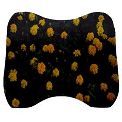 Bloomed Yellow Petaled Flower Plants Velour Head Support Cushion by artworkshop