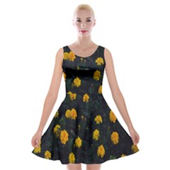 Bloomed Yellow Petaled Flower Plants Velvet Skater Dress by artworkshop