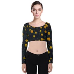 Bloomed Yellow Petaled Flower Plants Velvet Long Sleeve Crop Top by artworkshop