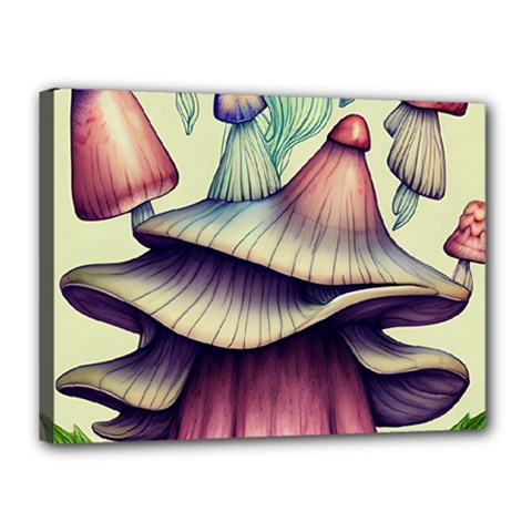 Antique Forest Mushrooms Canvas 16  X 12  (stretched) by GardenOfOphir