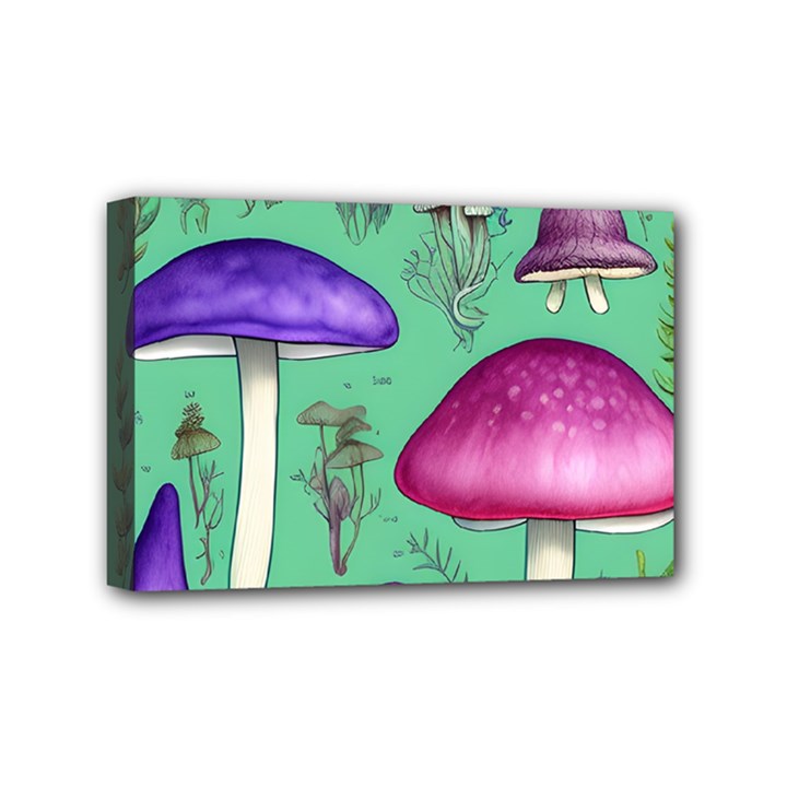 Foraging In The Mushroom Forest Mini Canvas 6  x 4  (Stretched)