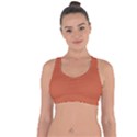 Dark Mango	 - 	Cross String Back Sports Bra View1