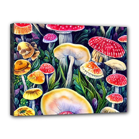 Woodsy Mushroom Design Foresty Canvas 16  X 12  (stretched) by GardenOfOphir