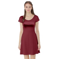 Antique Ruby Red	 - 	short Sleeve Skater Dress by ColorfulDresses