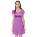 French Mauve Purple	 - 	Short Sleeve Skater Dress View1