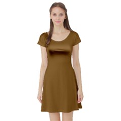 Dirt Brown	 - 	short Sleeve Skater Dress by ColorfulDresses