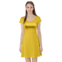 Tuscany Yellow	 - 	short Sleeve Skater Dress by ColorfulDresses