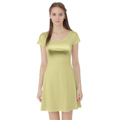 Yellow Iris	 - 	short Sleeve Skater Dress by ColorfulDresses