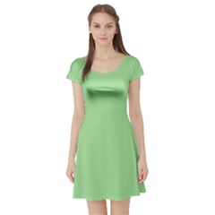 Granny Smith Apple Green	 - 	short Sleeve Skater Dress by ColorfulDresses