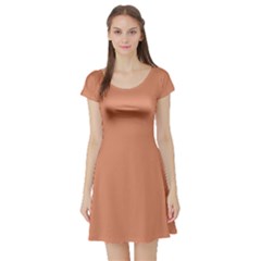 Soft Copper	 - 	Short Sleeve Skater Dress