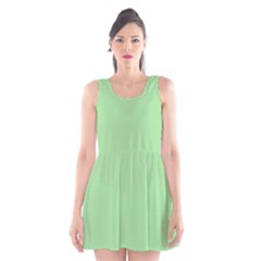 Granny Smith Apple Green	 - 	scoop Neck Skater Dress by ColorfulDresses