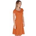 Halloween Orange	 - 	Classic Short Sleeve Dress View3