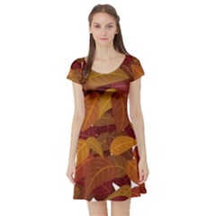 Watercolor Leaves Leaf Orange Short Sleeve Skater Dress