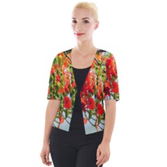 Gathering Sping Flowers  Cropped Button Cardigan by artworkshop