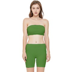 Light Seaweed Green	 - 	stretch Shorts And Tube Top Set by ColorfulSportsWear