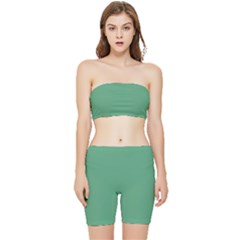 Shiny Shamrock Green	 - 	stretch Shorts And Tube Top Set by ColorfulSportsWear