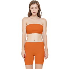 Persimmon	 - 	Stretch Shorts and Tube Top Set