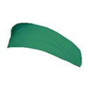 Dartmouth Green	 - 	Stretchable Headband View1