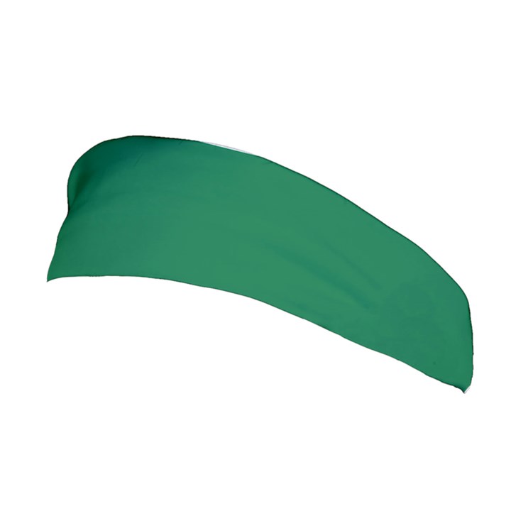 Dartmouth Green	 - 	Stretchable Headband