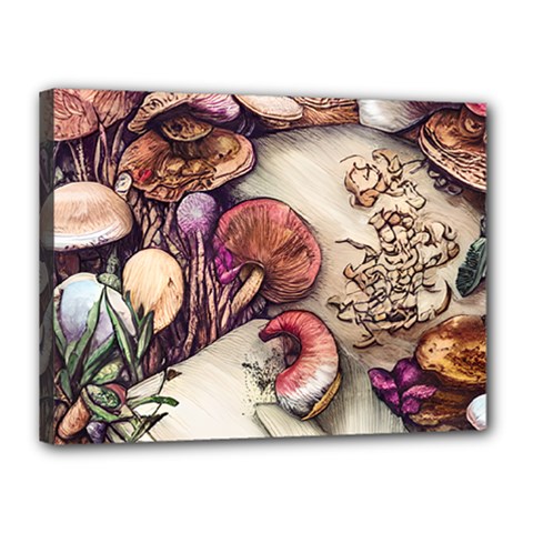 Dainty Mushroom Pendant Canvas 16  X 12  (stretched) by GardenOfOphir