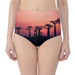 Baobabs Trees Silhouette Landscape Sunset Dusk Classic High-waist Bikini Bottoms by Jancukart