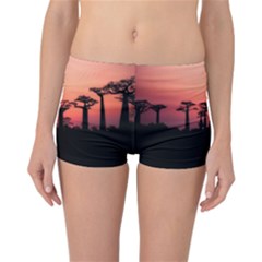 Baobabs Trees Silhouette Landscape Sunset Dusk Reversible Boyleg Bikini Bottoms