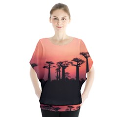 Baobabs Trees Silhouette Landscape Sunset Dusk Batwing Chiffon Blouse