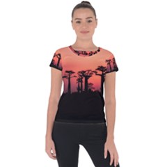 Baobabs Trees Silhouette Landscape Sunset Dusk Short Sleeve Sports Top  by Jancukart