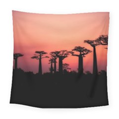 Baobabs Trees Silhouette Landscape Sunset Dusk Square Tapestry (large) by Jancukart