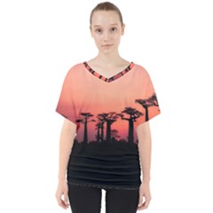 Baobabs Trees Silhouette Landscape Sunset Dusk V-neck Dolman Drape Top