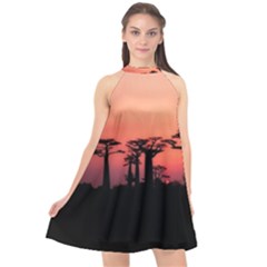 Baobabs Trees Silhouette Landscape Sunset Dusk Halter Neckline Chiffon Dress 