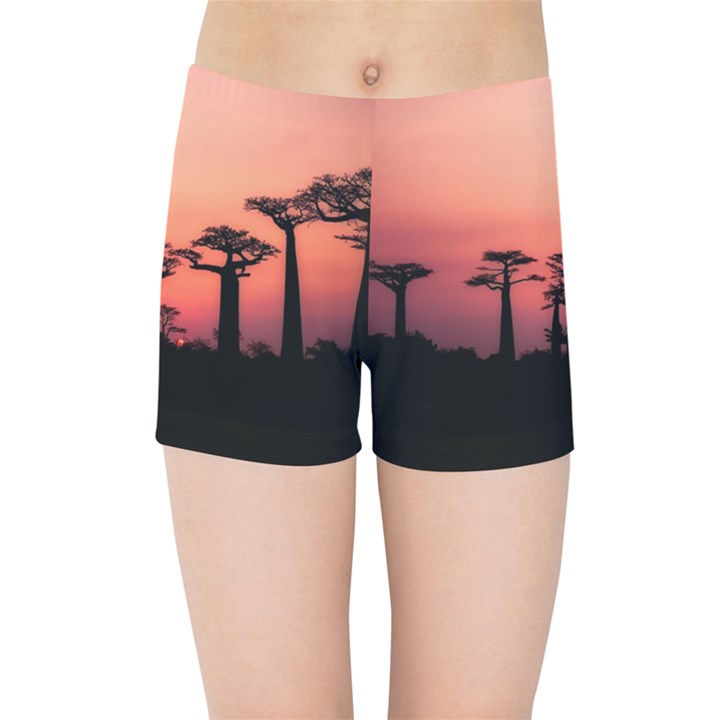 Baobabs Trees Silhouette Landscape Sunset Dusk Kids  Sports Shorts