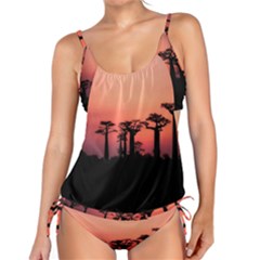 Baobabs Trees Silhouette Landscape Sunset Dusk Tankini Set by Jancukart