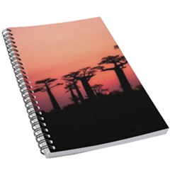 Baobabs Trees Silhouette Landscape Sunset Dusk 5 5  X 8 5  Notebook