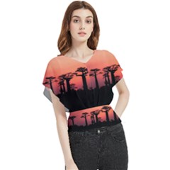 Baobabs Trees Silhouette Landscape Sunset Dusk Butterfly Chiffon Blouse