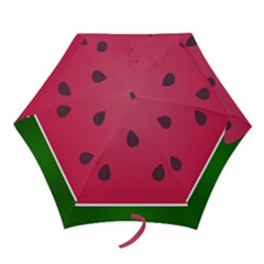 Watermelon Fruit Summer Red Fresh Food Healthy Mini Folding Umbrellas by Wegoenart