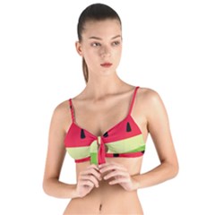 Watermelon Fruit Food Healthy Vitamins Nutrition Tie Up Cut Bikini Top by Wegoenart